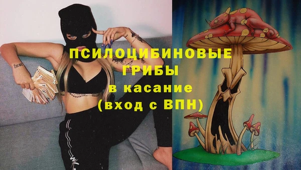 винт Арсеньев
