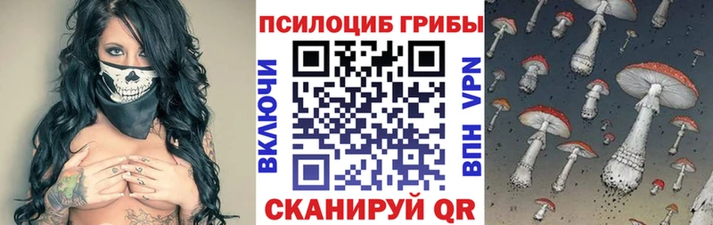 нарко площадка официальный сайт  Павлово  Псилоцибиновые грибы Cubensis 